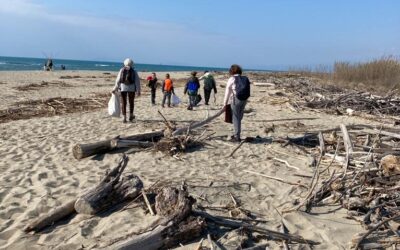 1 dic | LA FORZA DEL MARE