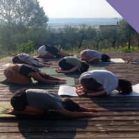 55 | LO YOGA TRA GLI OLIVI con Centro Olistico Sambalà