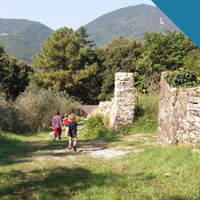 12 | MOVIMENTO NATURALE: PALESTRA A CIELO APERTO 1 con Nicola Rovetti