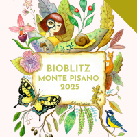 BIOBLITZ MONTE PISANO 2025. Conferenza stampa aperta