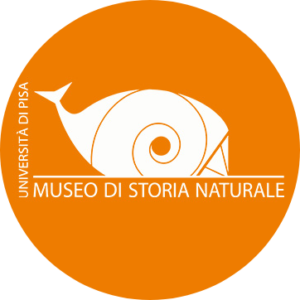 Museo di Storia Naturale dell’Università di Pisa